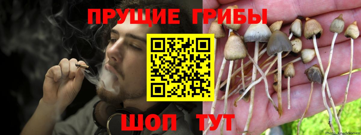 Нальчик  Псилоцибиновые грибы прущие грибы  купить  сайты  Вход с VPN 