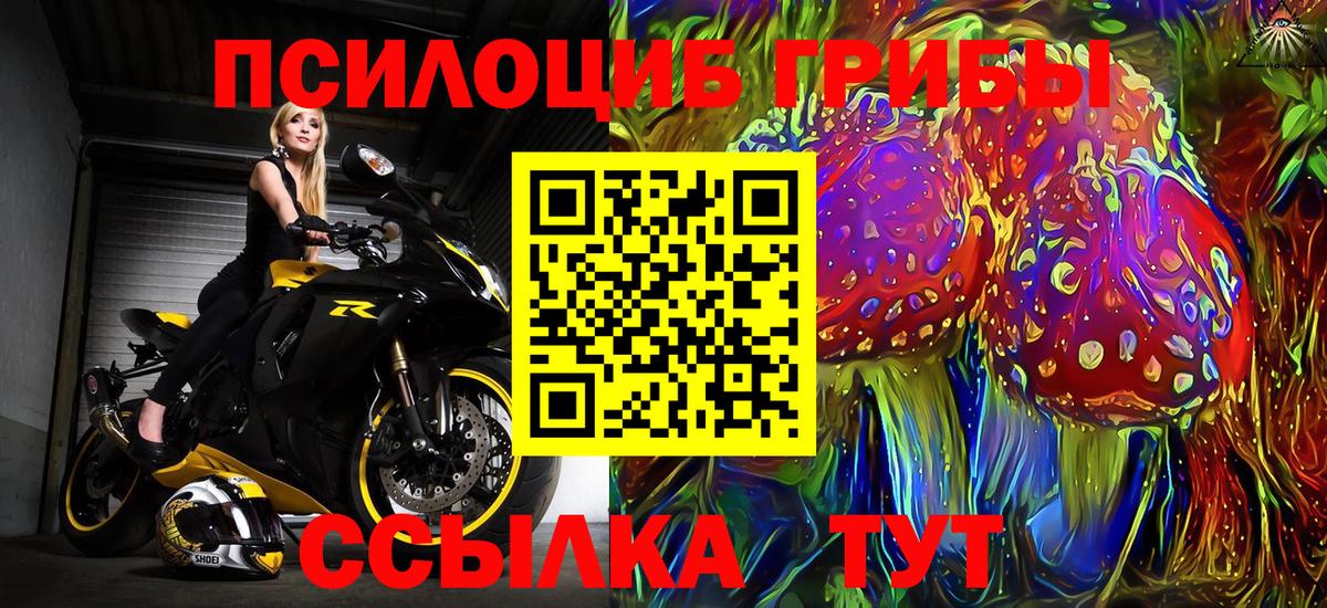Псилоцибиновые грибы GOLDEN TEACHER Нальчик